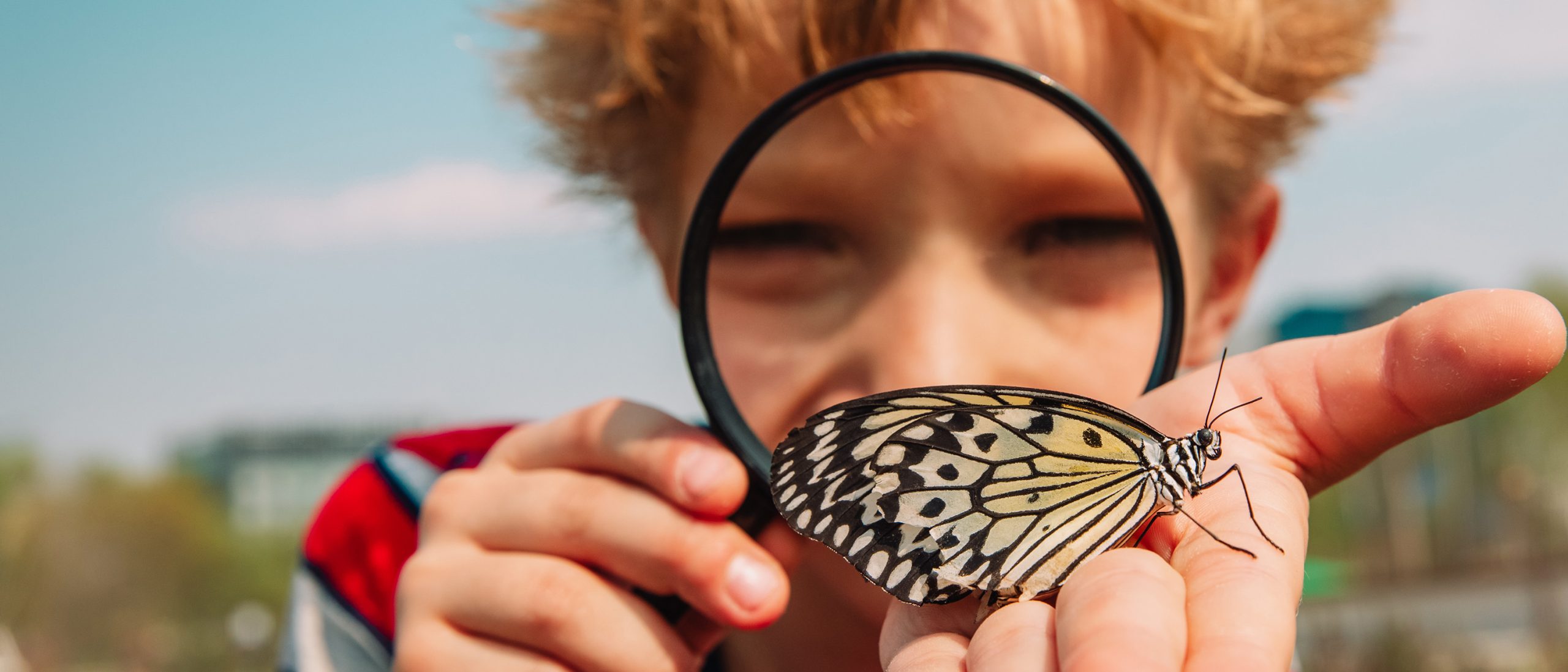 Young boy holding magnifying glass and butterfly