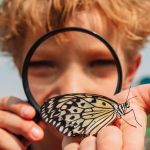 Young boy holding magnifying glass and butterfly